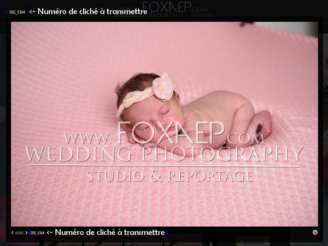 Photographe de naissance, dijon, foxaep