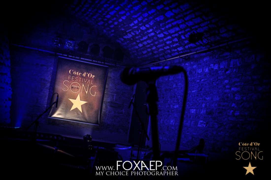 Côte d’Or Festival Song 2013 – Vendredi — FOXAEP, photographe Bourgogne