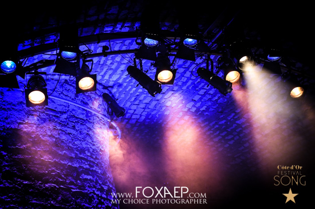Côte d’Or Festival Song 2013 – Vendredi — FOXAEP, photographe Bourgogne