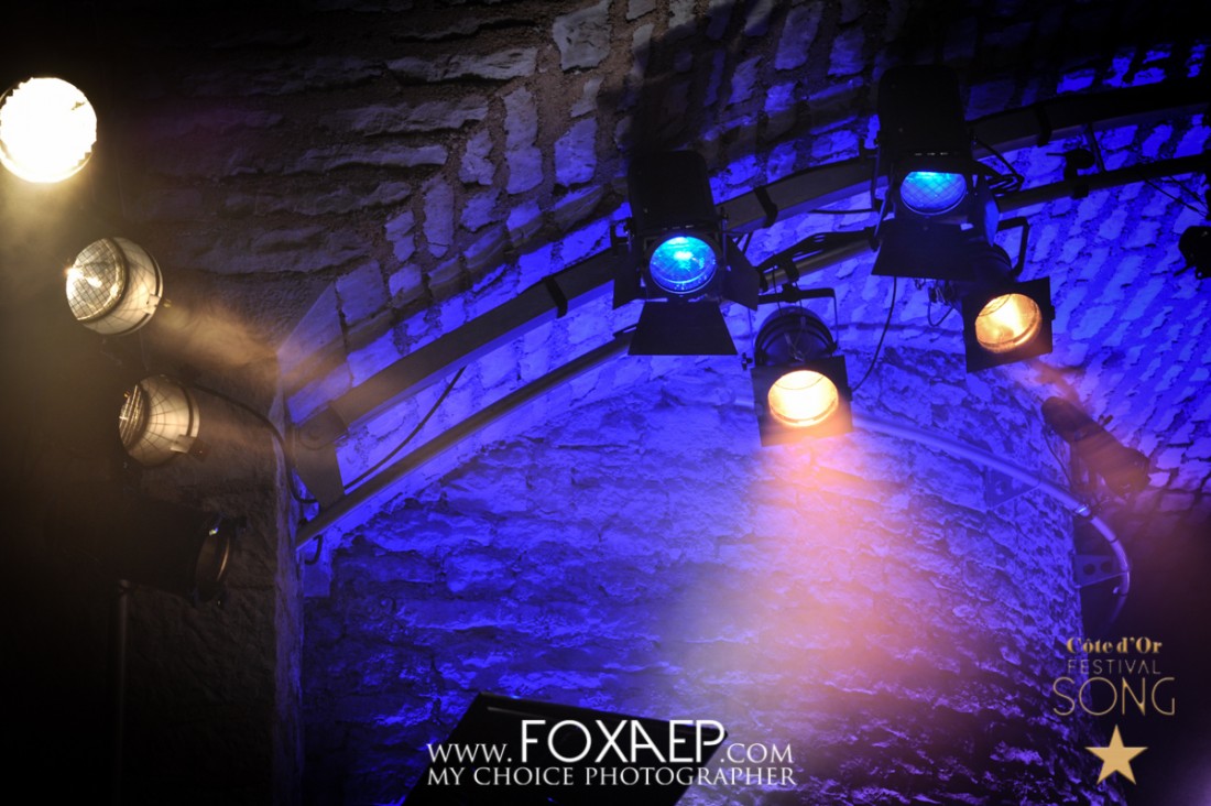Côte d’Or Festival Song 2013 – Vendredi — FOXAEP, photographe Bourgogne