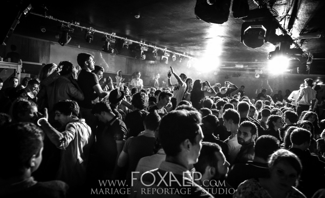 Adopte un Dijonnais – Chat Noir — FOXAEP, photographe Bourgogne