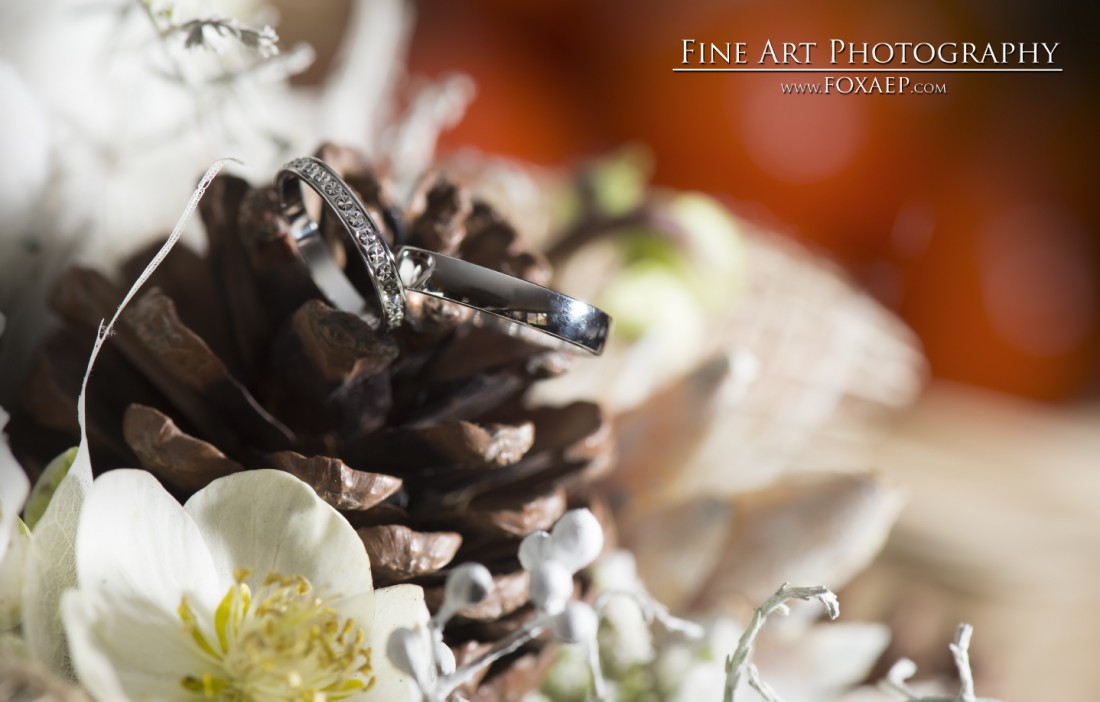 Priscilla & Florian – D. de Pont De Pany — FOXAEP, photographe Bourgogne