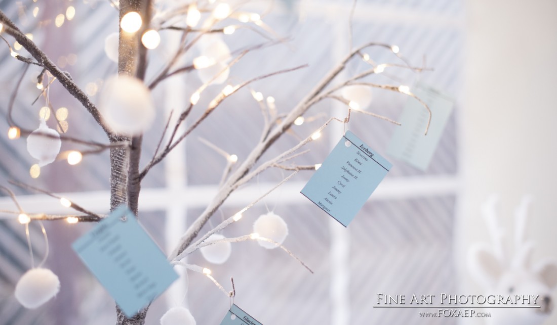 Priscilla & Florian – D. de Pont De Pany — FOXAEP, photographe Bourgogne