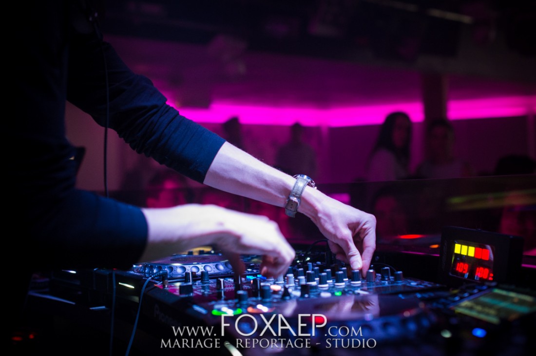 Chat Noir – Lost Frequencies — FOXAEP, photographe Bourgogne