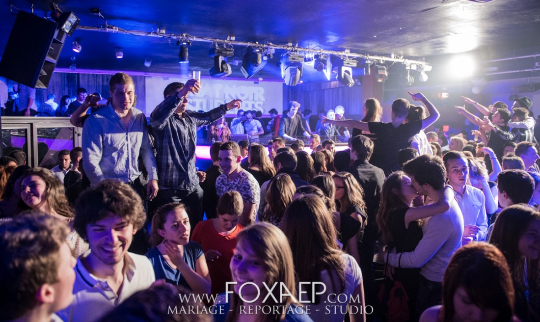Chat Noir – Lost Frequencies — FOXAEP, photographe Bourgogne