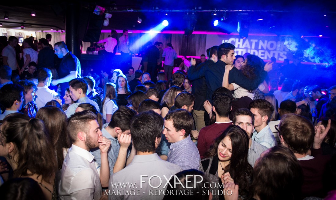 Chat Noir – Lost Frequencies — FOXAEP, photographe Bourgogne