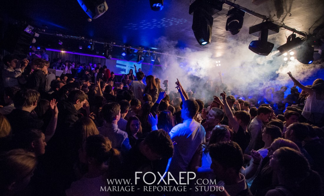 Chat Noir – Lost Frequencies — FOXAEP, photographe Bourgogne