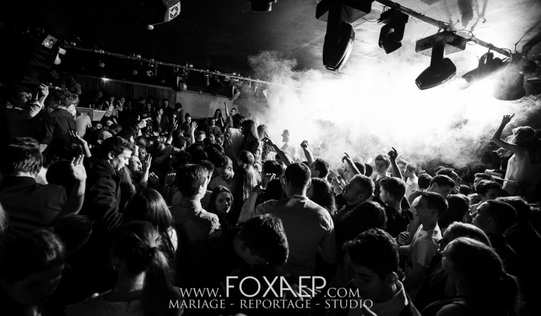 Chat Noir – Lost Frequencies — FOXAEP, photographe Bourgogne
