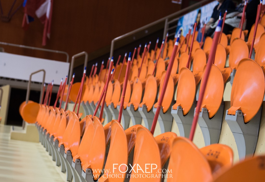 Handball – Golden League — FOXAEP, photographe Bourgogne