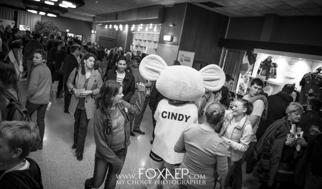 Handball – Golden League — FOXAEP, photographe Bourgogne