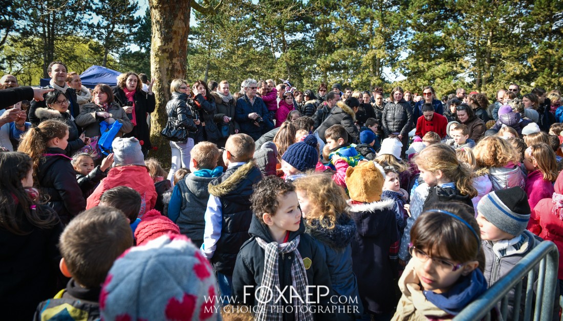 La Chasse aux Oeufs — FOXAEP, photographe Bourgogne