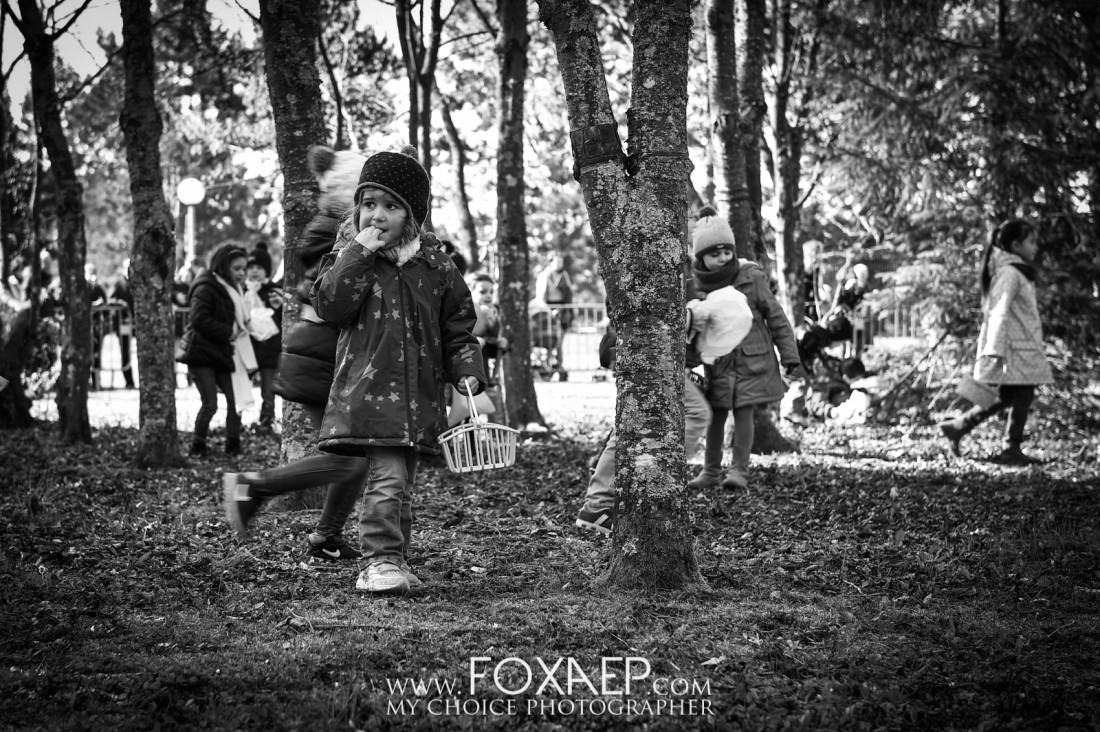 La Chasse aux Oeufs — FOXAEP, photographe Bourgogne