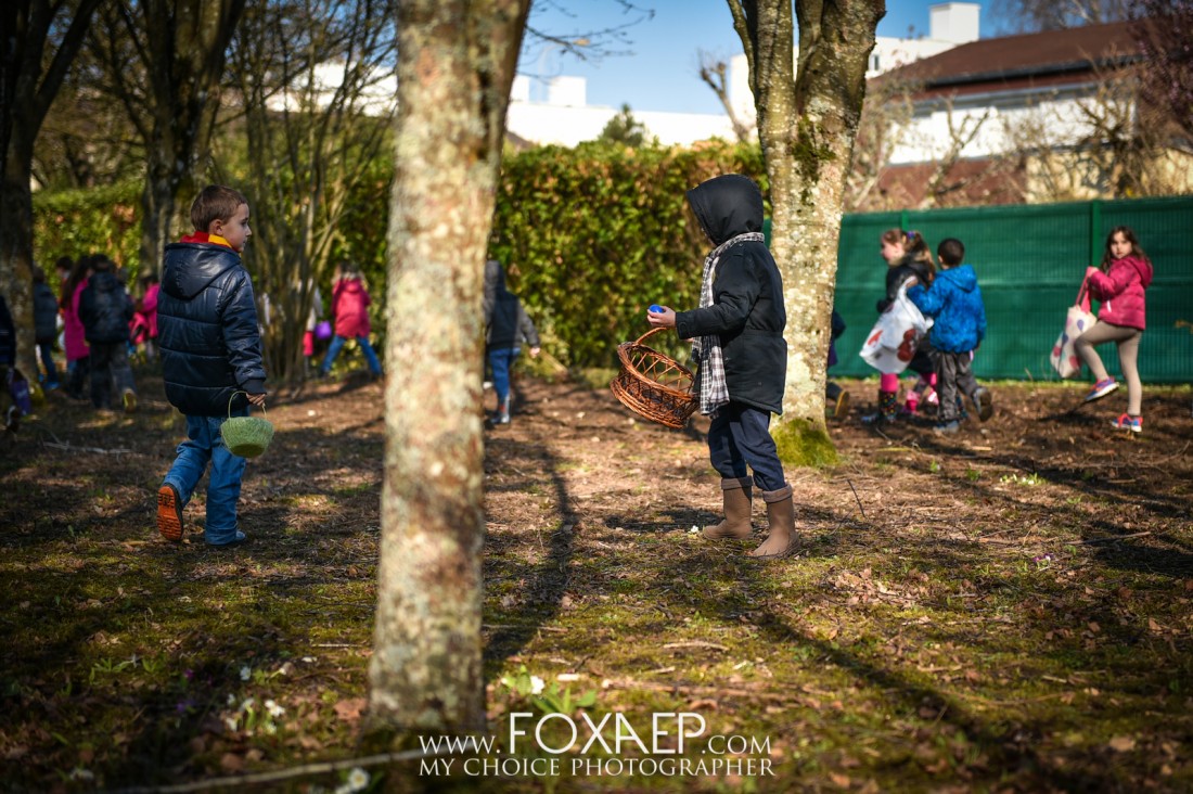 La Chasse aux Oeufs — FOXAEP, photographe Bourgogne