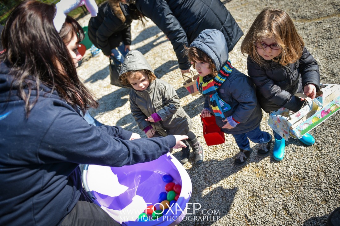La Chasse aux Oeufs — FOXAEP, photographe Bourgogne