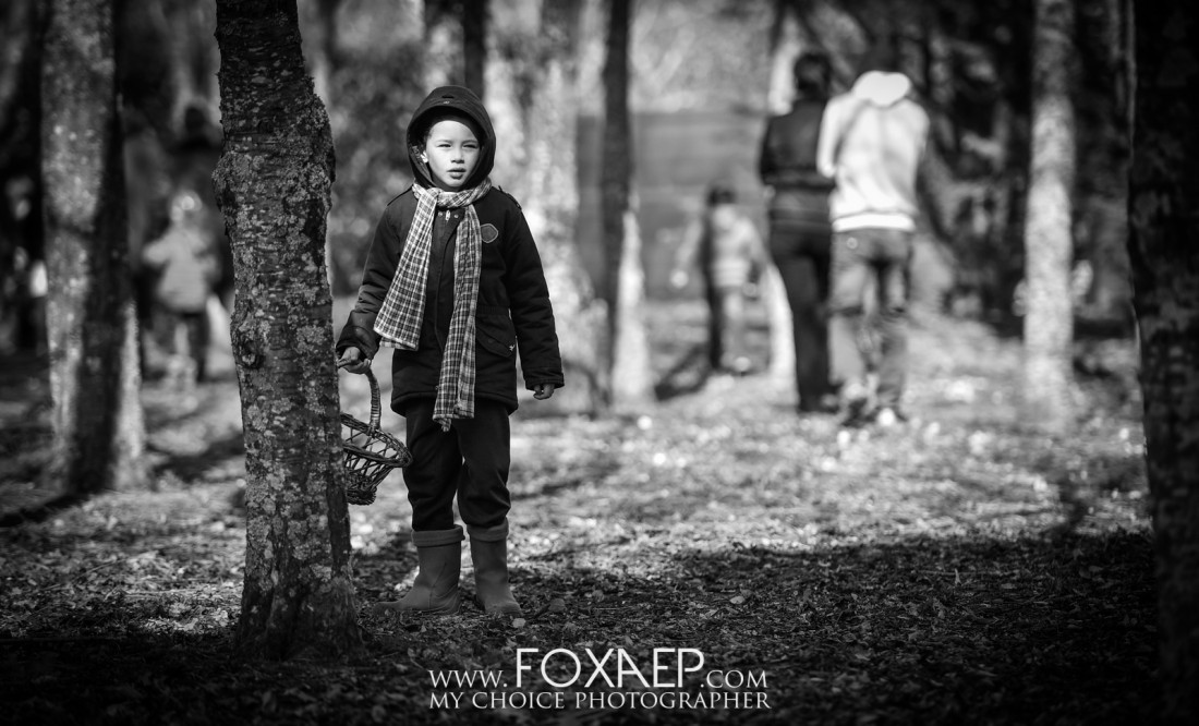 La Chasse aux Oeufs — FOXAEP, photographe Bourgogne