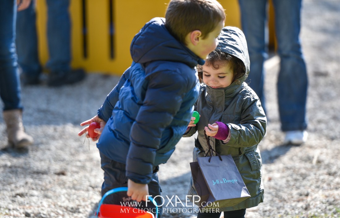 La Chasse aux Oeufs — FOXAEP, photographe Bourgogne