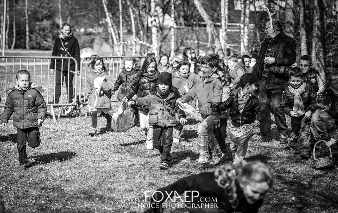 La Chasse aux Oeufs — FOXAEP, photographe Bourgogne