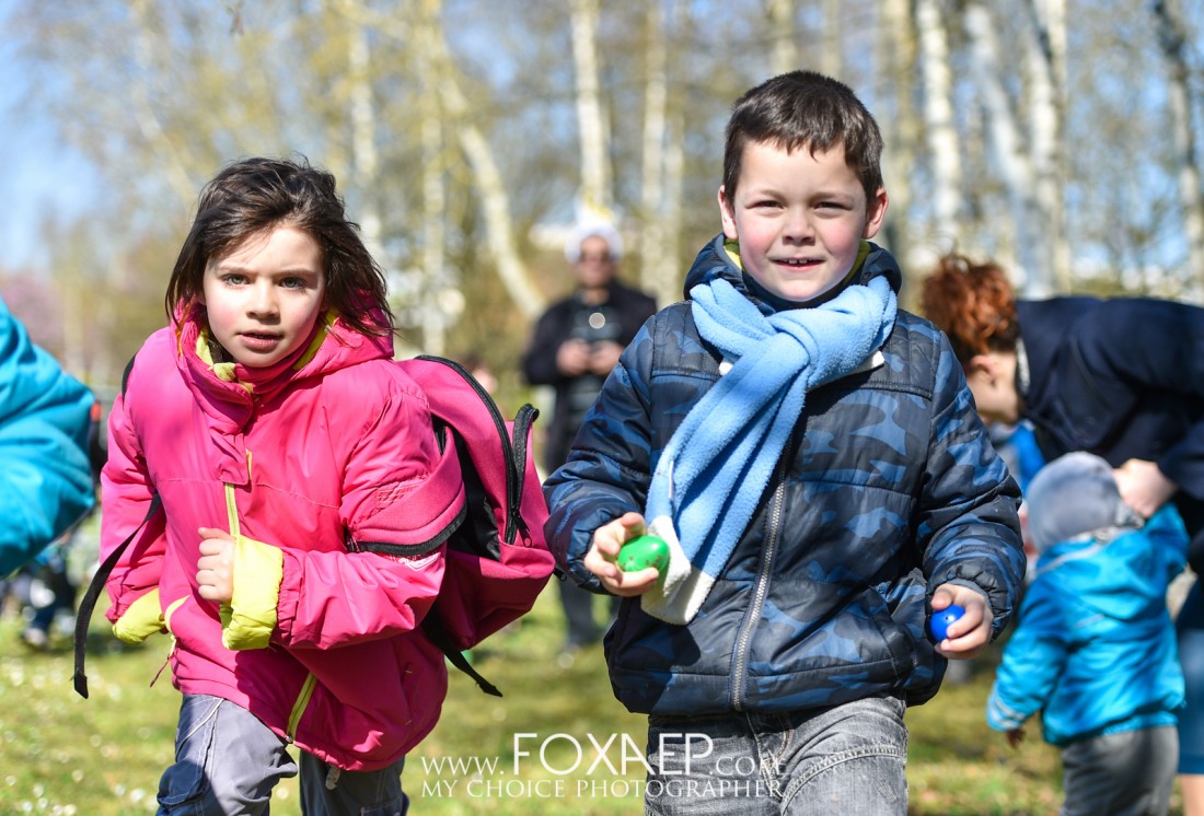 La Chasse aux Oeufs — FOXAEP, photographe Bourgogne
