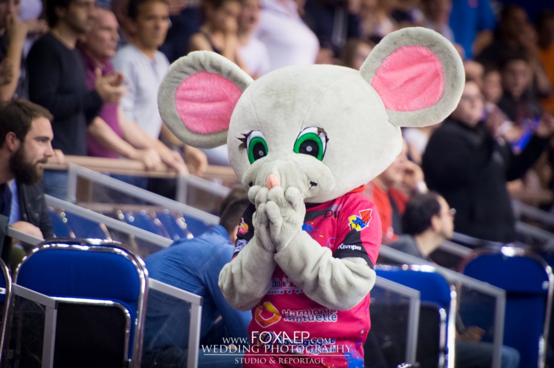 CDB – HAVRE – 20 MAI 2015 — FOXAEP, photographe Bourgogne