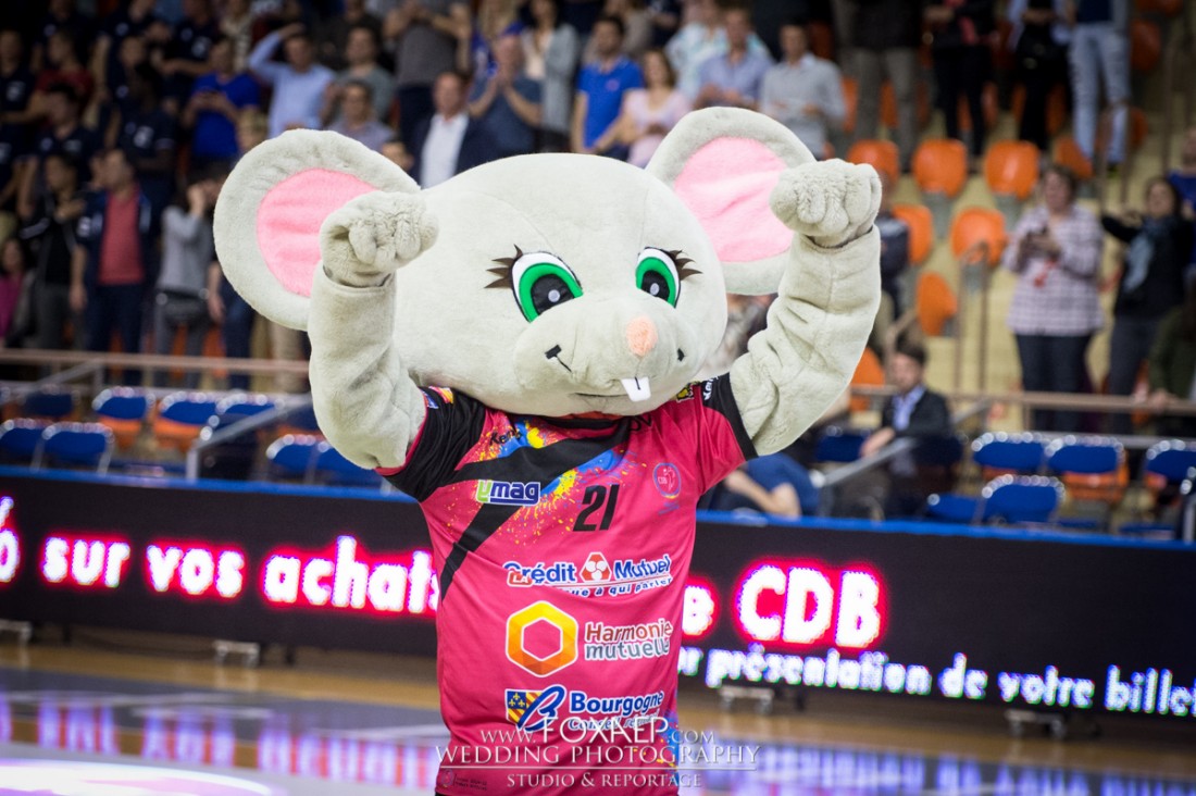 CDB – HAVRE – 20 MAI 2015 — FOXAEP, photographe Bourgogne