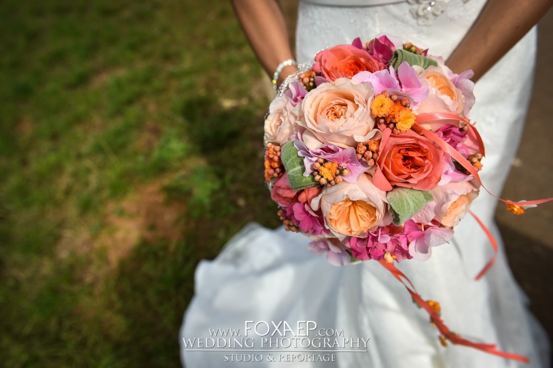 Elise & Marc – FOXAEP – Photographe Dole — FOXAEP, photographe Bourgogne