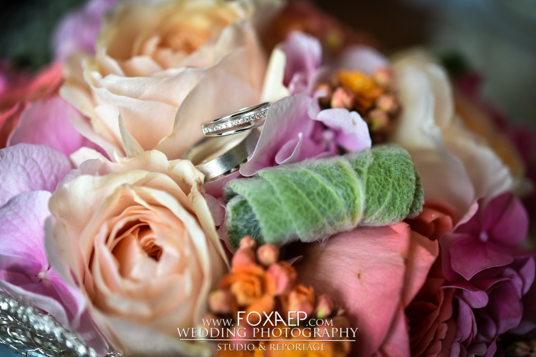 Elise & Marc – FOXAEP – Photographe Dole — FOXAEP, photographe Bourgogne