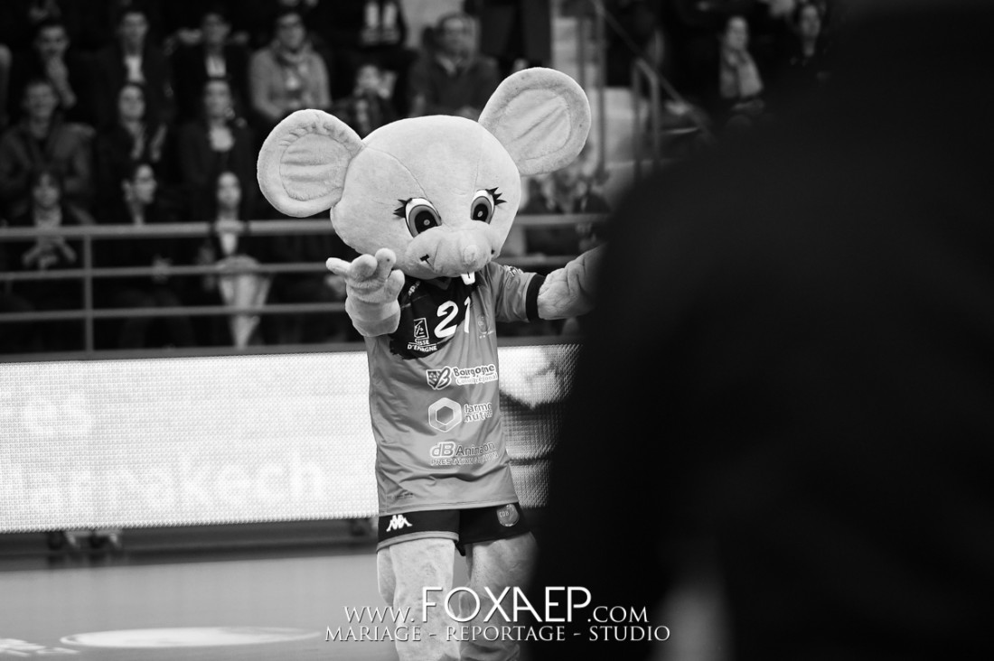 CDB / Nantes au Palais des Sports — FOXAEP, photographe Bourgogne