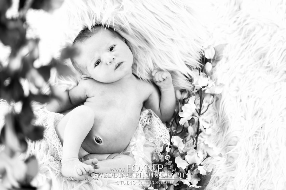 Suzy… Un joli bébé dès sa naissance ! — FOXAEP, photographe Bourgogne