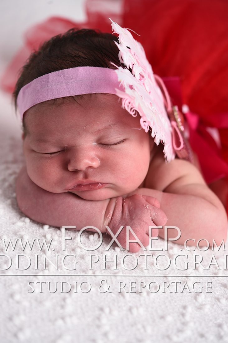 Photographe bébé Beaune – Layna — FOXAEP, photographe Bourgogne
