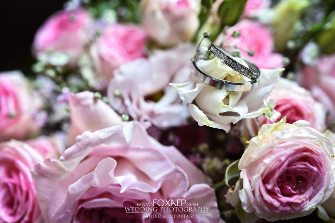 Marine & David – Domaine de Pont De Pany — FOXAEP, photographe Bourgogne