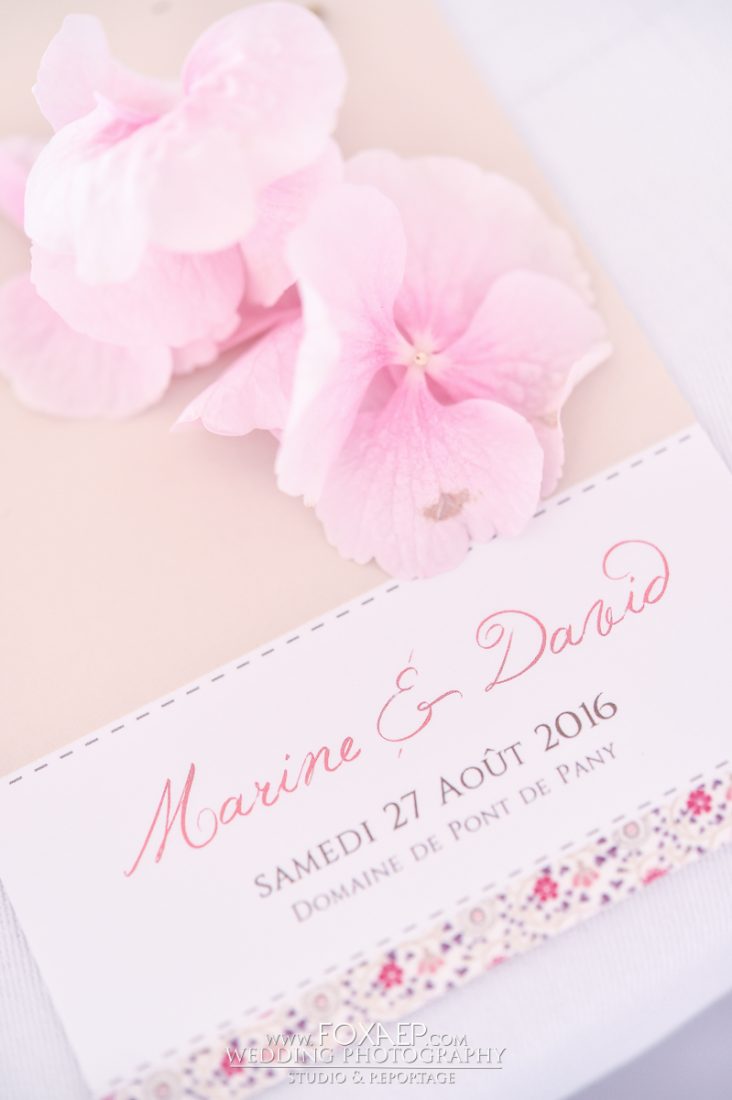 Marine & David – Domaine de Pont De Pany — FOXAEP, photographe Bourgogne
