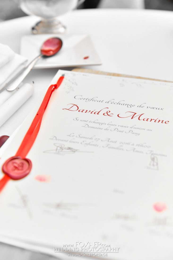 Marine & David – Domaine de Pont De Pany — FOXAEP, photographe Bourgogne