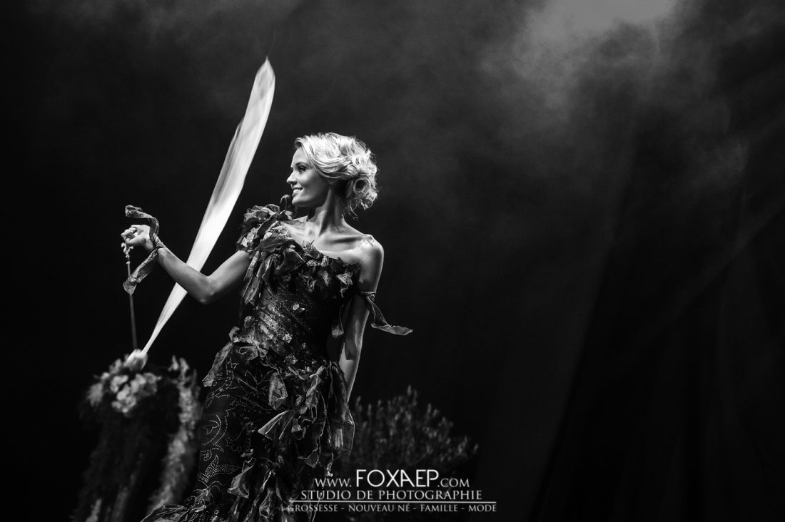 Miss Bourgogne 2016, Show Miss France et couronnement. — FOXAEP, photographe Bourgogne