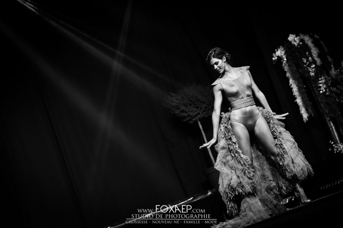 Miss Bourgogne 2016, Show Miss France et couronnement. — FOXAEP, photographe Bourgogne