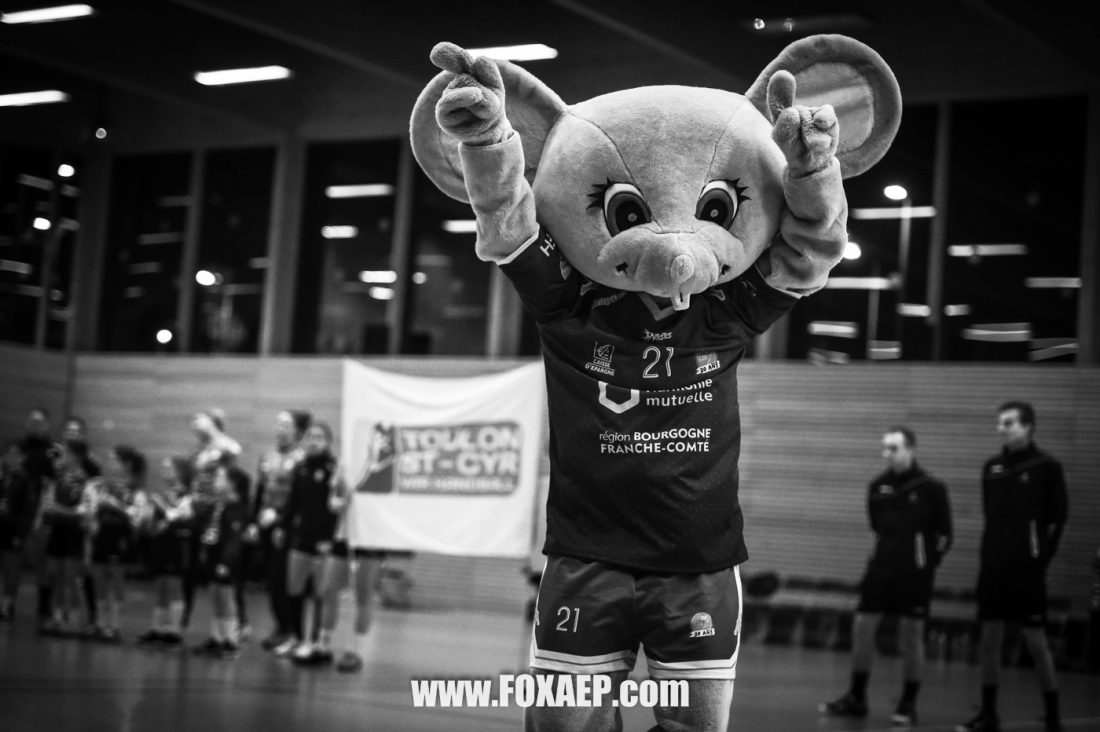 CDB COUPE DE FRANCE — FOXAEP, photographe Bourgogne