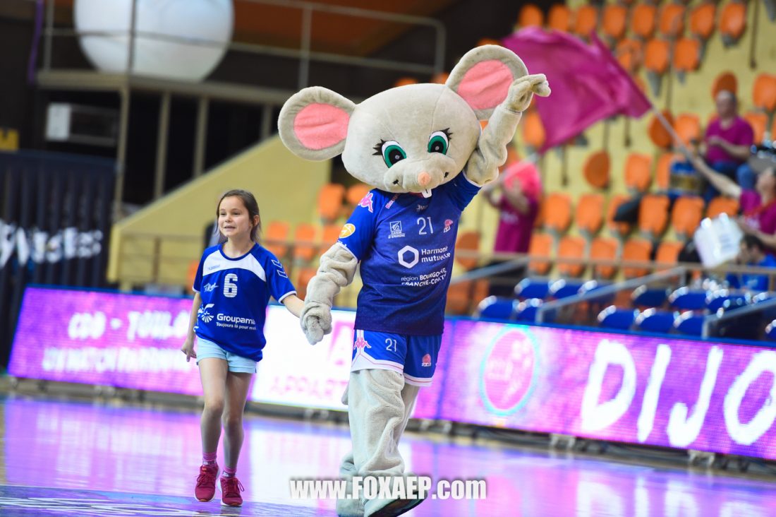 CDB – TOULON – HANDBALL — FOXAEP, photographe Bourgogne