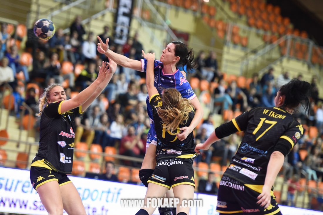CDB – TOULON – HANDBALL — FOXAEP, photographe Bourgogne