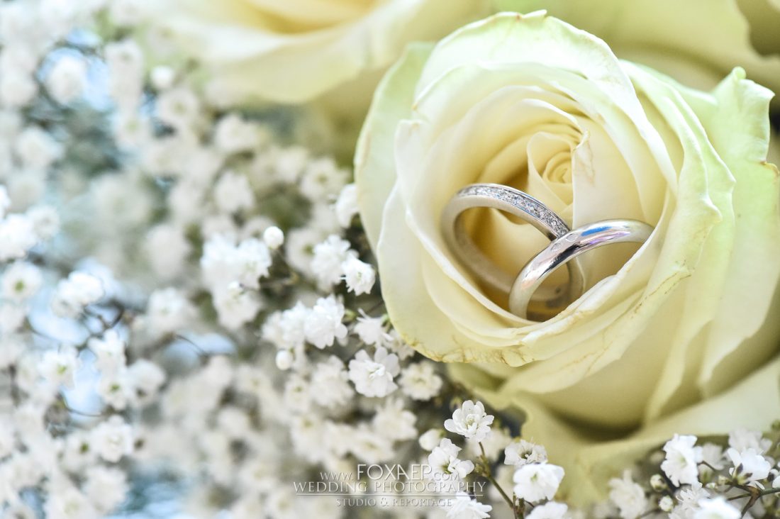 Mariage Pont de Pany — FOXAEP, photographe Bourgogne