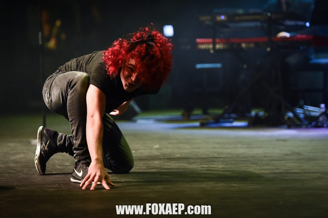 Côte D’or Festival Song 2017 — FOXAEP, photographe Bourgogne