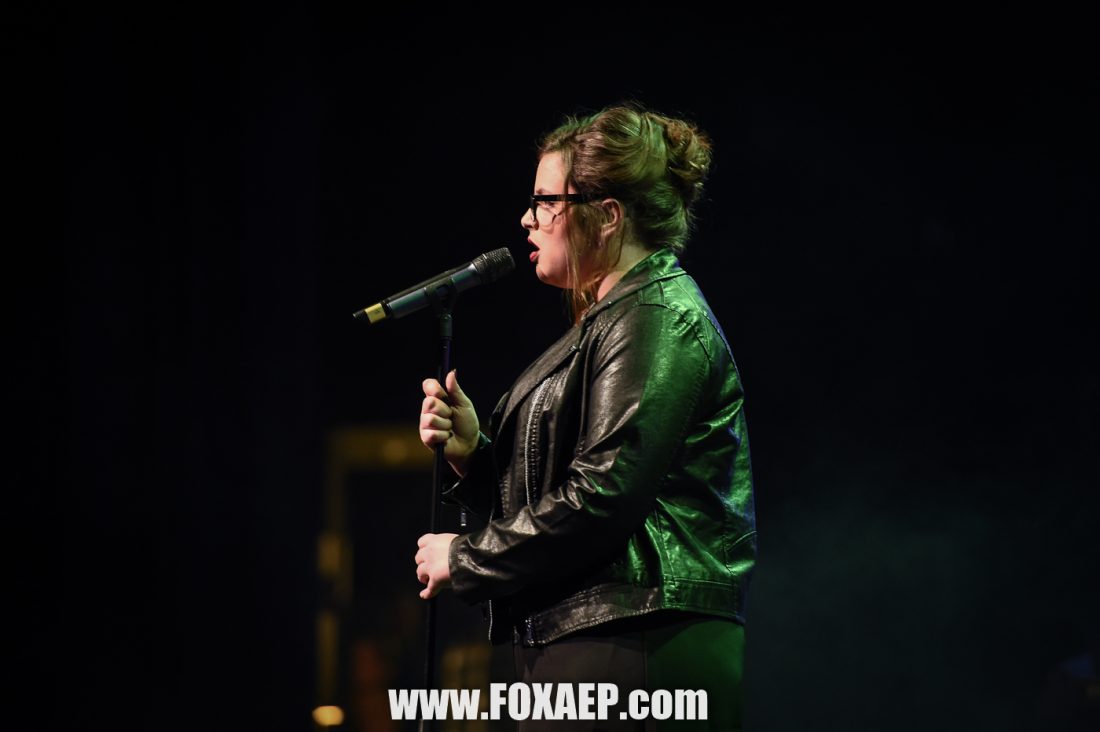 Côte D’or Festival Song 2017 — FOXAEP, photographe Bourgogne