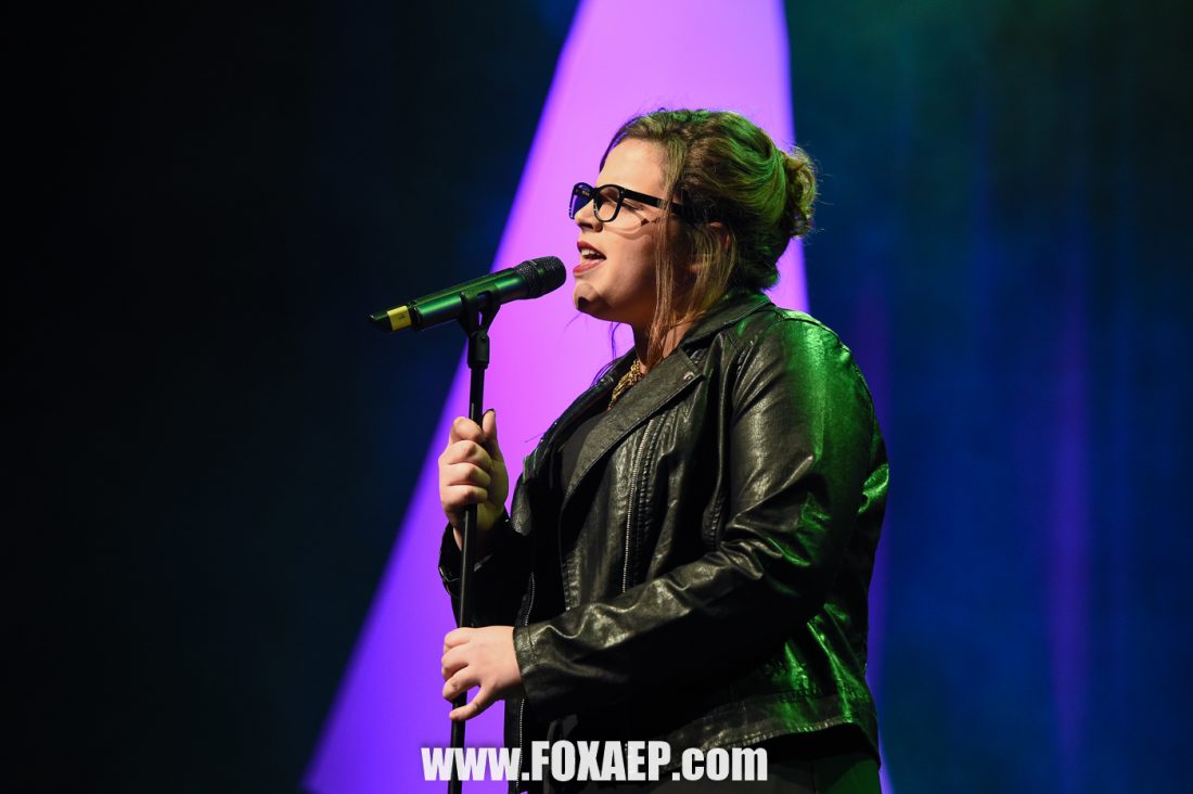 Côte D’or Festival Song 2017 — FOXAEP, photographe Bourgogne