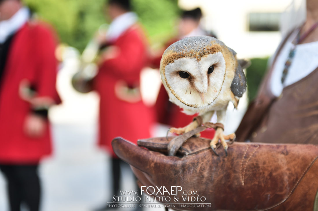 Château de Saulon 2018 — FOXAEP, photographe Bourgogne