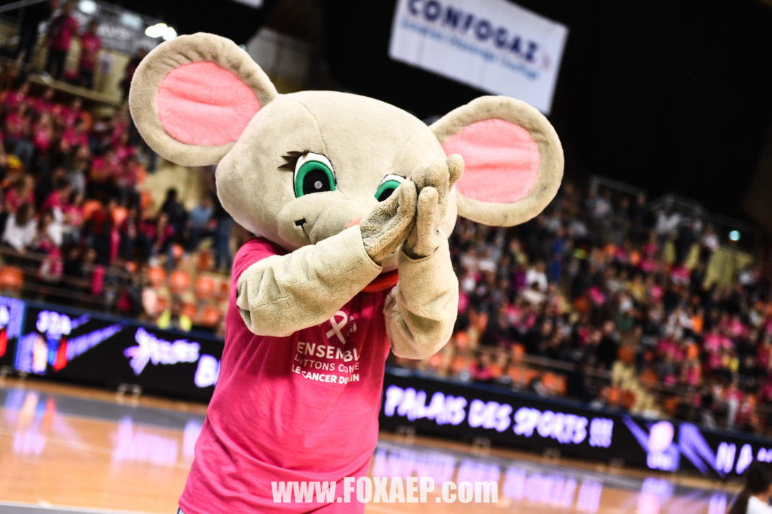 10-10-18 HANDBALL JDA – NANTES — FOXAEP, photographe Bourgogne