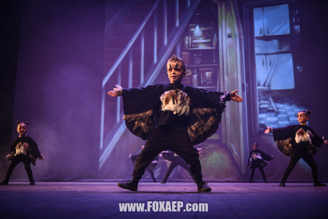 La Z-SCHOOL des Sorciers — FOXAEP, photographe Bourgogne