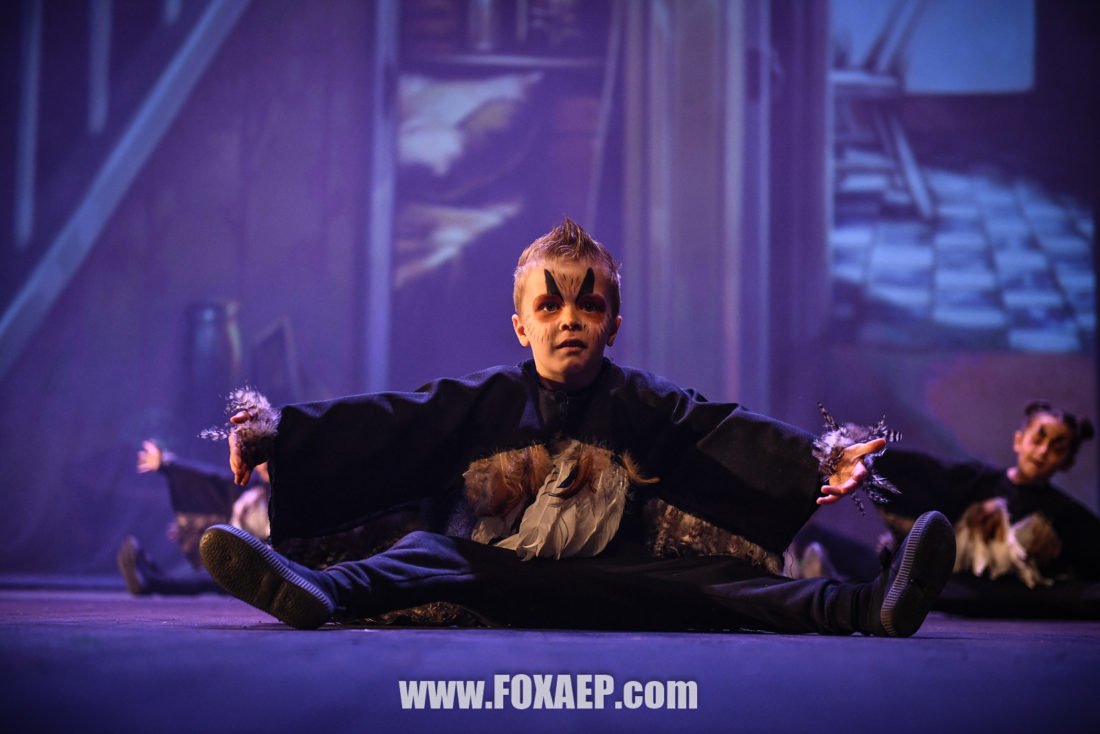 La Z-SCHOOL des Sorciers — FOXAEP, photographe Bourgogne