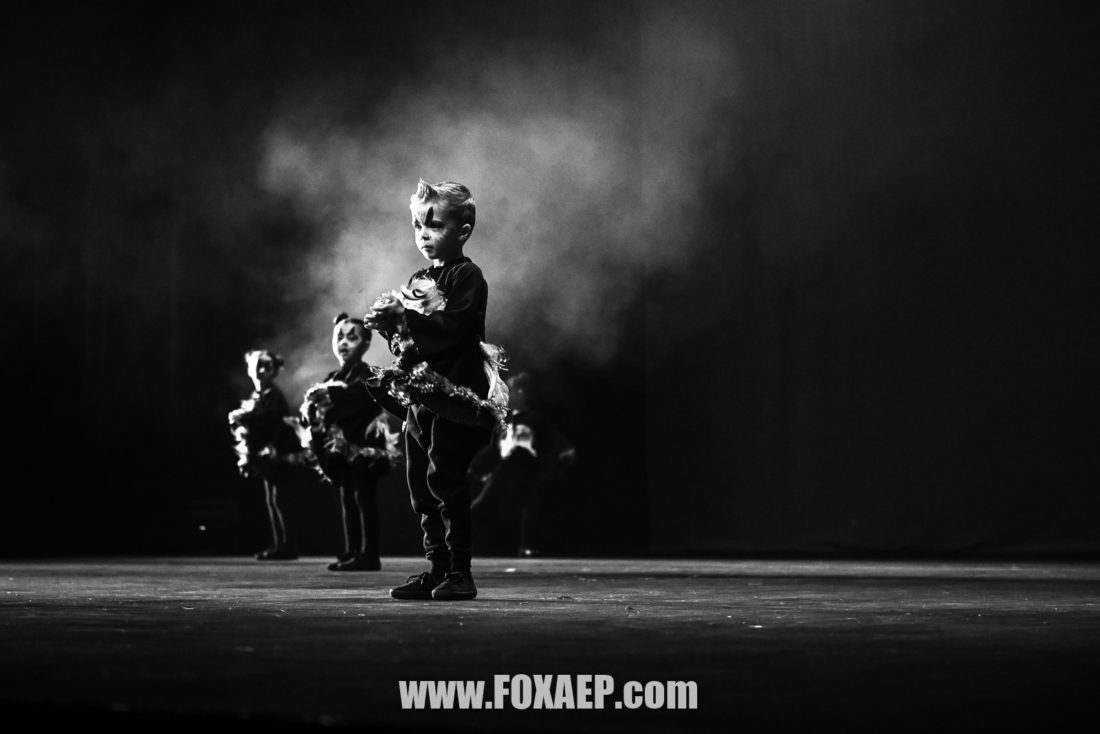 La Z-SCHOOL des Sorciers — FOXAEP, photographe Bourgogne