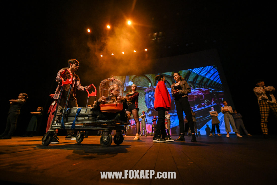 La Z-SCHOOL des Sorciers — FOXAEP, photographe Bourgogne