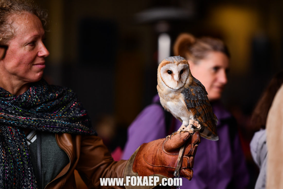 Happy Dream Child – Baptême de l’air ! — FOXAEP, photographe Bourgogne
