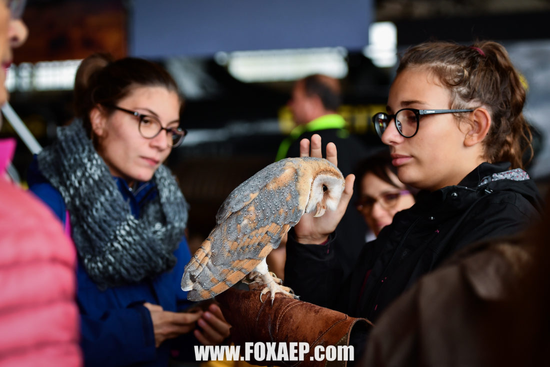 Happy Dream Child – Baptême de l’air ! — FOXAEP, photographe Bourgogne