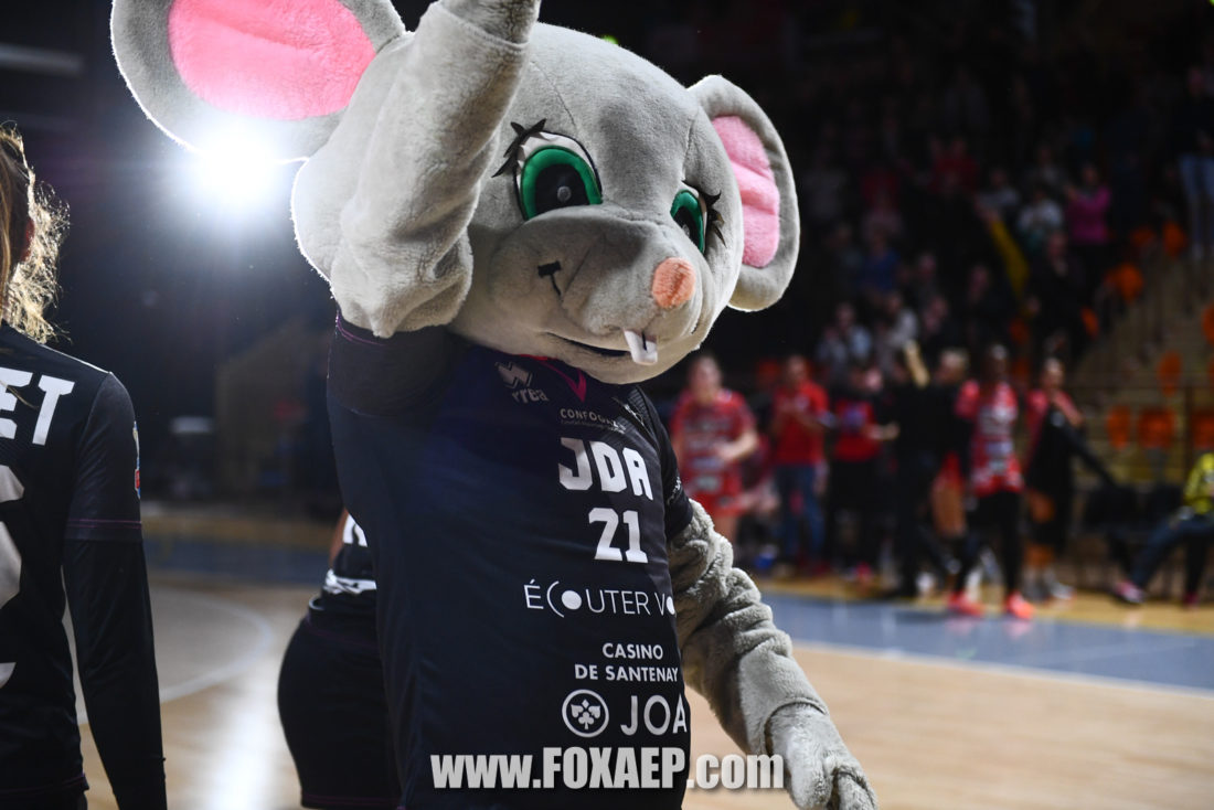 JDA HANDBALL VS BESANCON – 21-02-20 — FOXAEP, photographe Bourgogne
